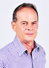 CELMI RODRIGUES