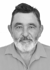 TEIXEIRINHA