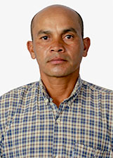 PALMEIRINHA