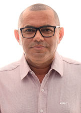 PROFESSOR FREDSON BORGES