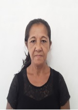 DULCIMAR DO ZÉ SALÃO