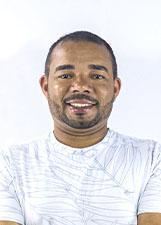 DESCIN PASSARINHEIRO