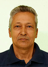 JAPÃO DO SALGADO