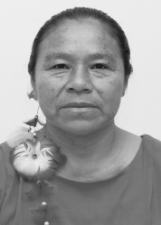 PROFESSORA BETE