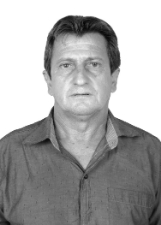 POLAQUINHO TOREIRO