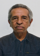 PROFESSOR GUIA