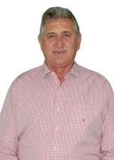 TONI MAFINI