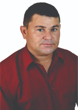 BOLA DA FLORESTA
