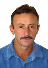 ROBSON