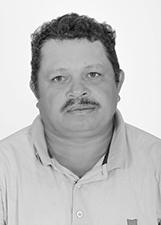 ESTRELINHA