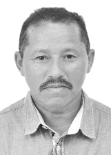 GOGÓIA DO SOM