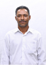 TATU DA MACAMBIRA