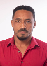 DIMI ARAUJO