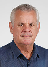 INGO STENGER