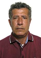 ROBERTO BOTELHO