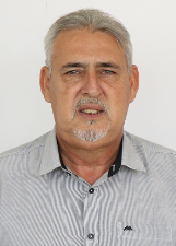 HARLEI VIANNA