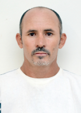GALEGO FORMIGUEIRO