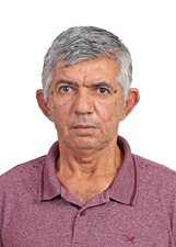 SINICA DA POLPA DE FRUTA