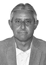 GRINGO DO TÁXI
