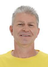 PROFESSOR PLINIO