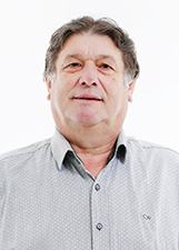 PROFESSOR LICA