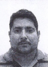 RICARDO MELO