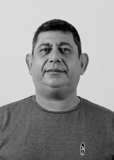 SABIÁ
