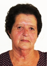 ELISA DE SANTIS