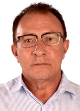 CARPINO