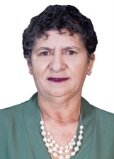 CIDA ARTESÃ
