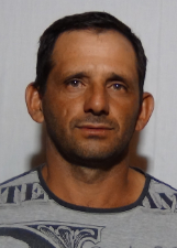 DANIEL PADAVINI