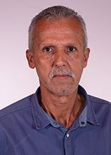 WESLEI TIGRE