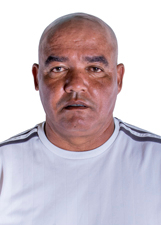 TONHO PANELA