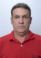 NEI PINI