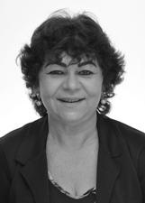 LUZIA DO BAÚ