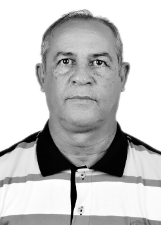 EULER VIDAL