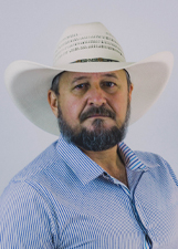 GILBERTO CATTANI