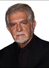 DOMINGOS MEIRELLES