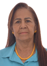 VOZINHA