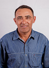 DOMINGOS PEREIRA