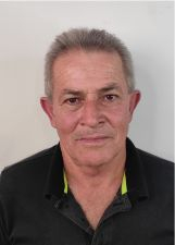 DIVINO BANANEIRA