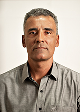 RUI ALVES MACIEL