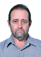 DOMINGOS PIKHARDT