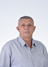 ADELSON TONTEIRA