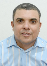 YEGO PINGUINHA 