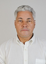 DOMINGOS DA DENGUE