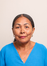 PROFESSORA CINZA
