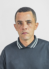 MAGELINHA