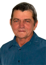 TÍTI PAULISTA