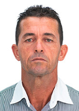 ESTRELINHA